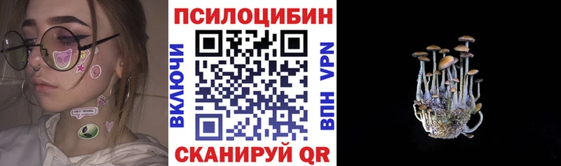 Купить  Цимлянск  Галлюциногенные грибы прущие грибы 